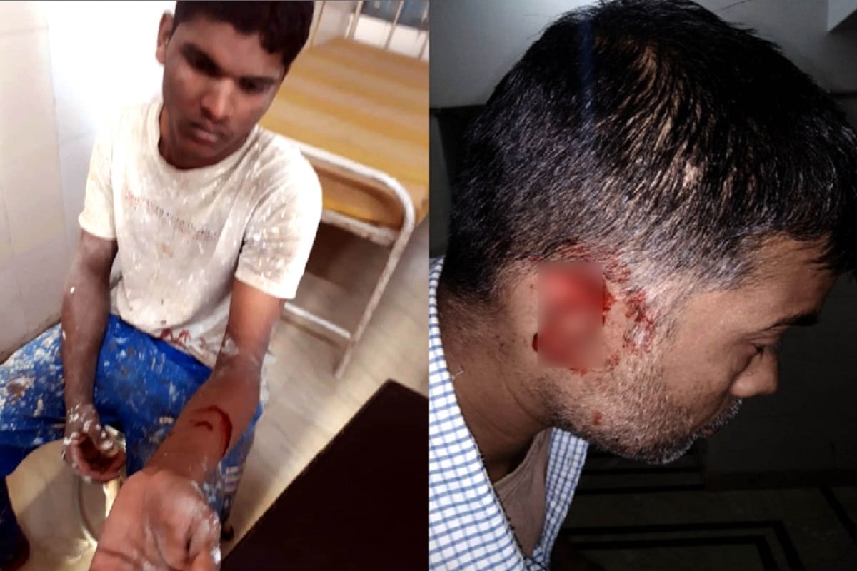 Monkeys attacked on many people including woman in Baghpat and eight injured