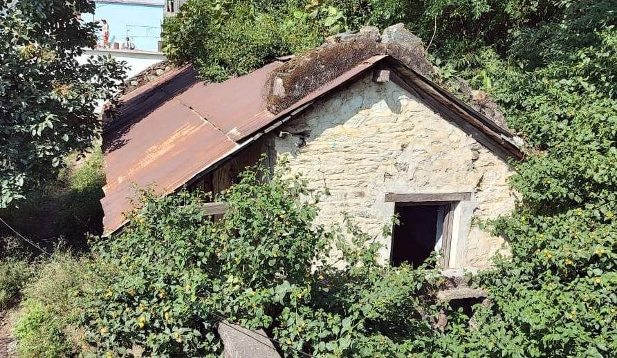 Forest posts transformed into ruins, protection of Rambharosa forest