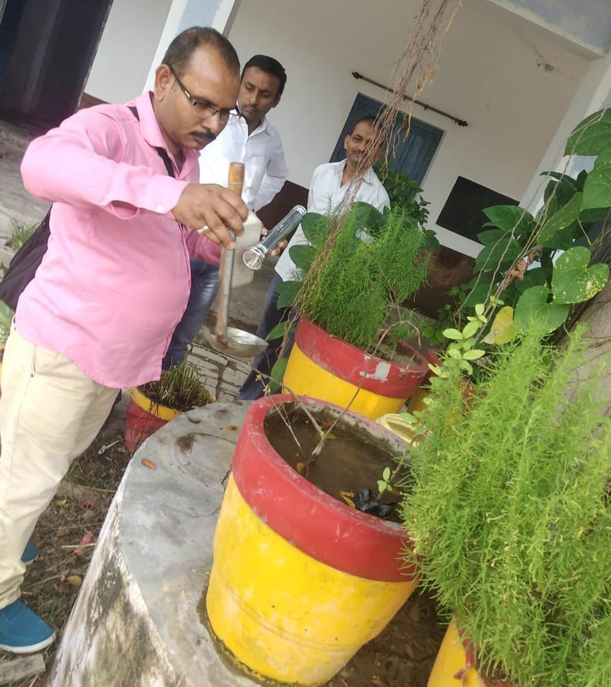 Dengue mosquito in 179 homes in Banda, 48 notices