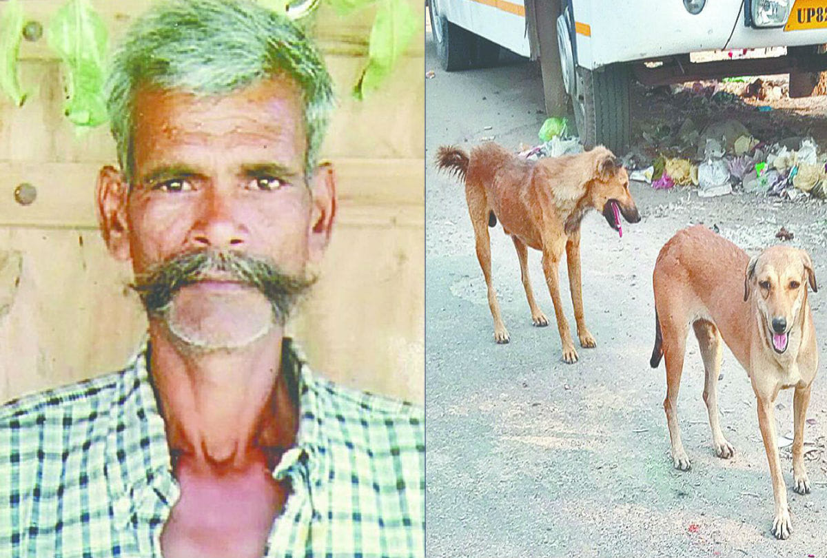 Dogs Killed Man In Etah Mirehchi Latest News in Hindi