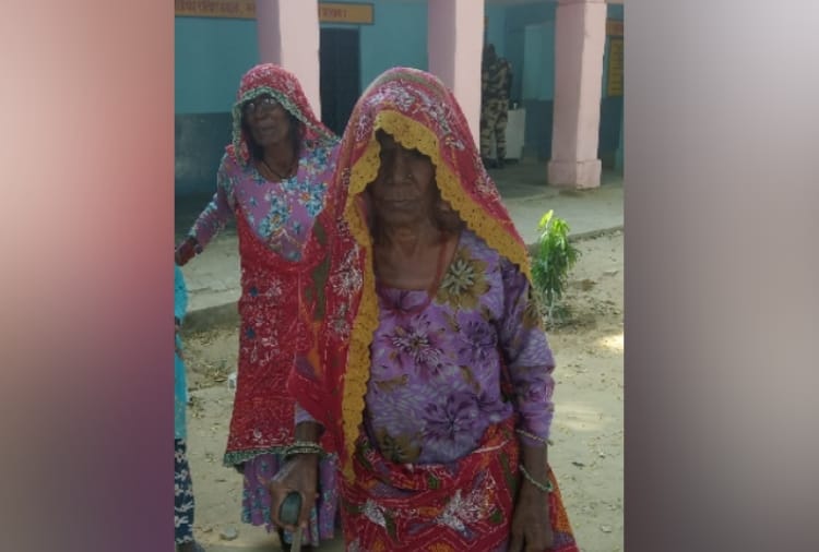 haryana assembly elections, senior citizens cast vote in haryana assembly elections