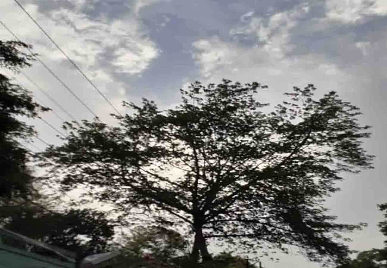 latest weather news, rain in these cities of up