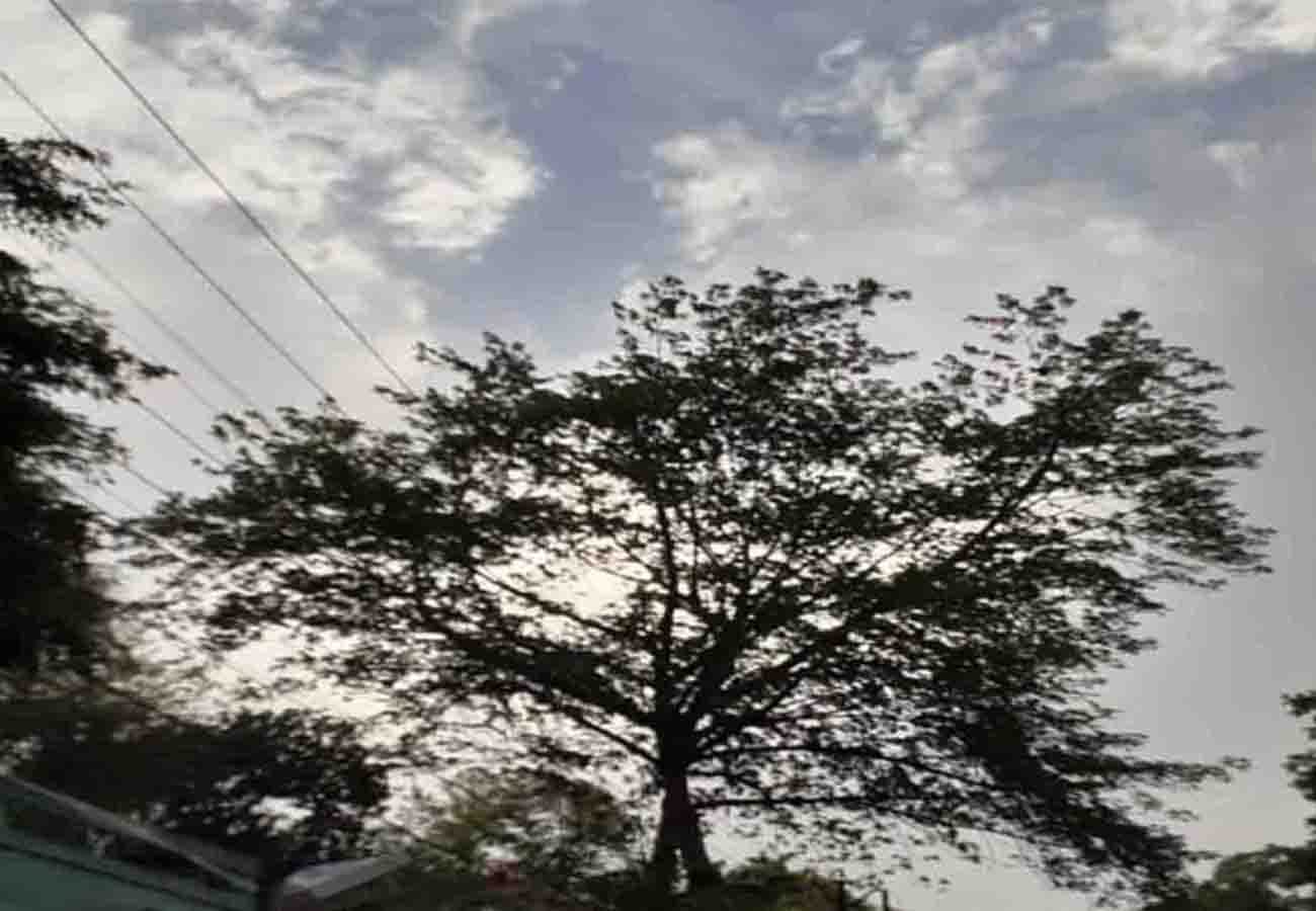 latest weather news, rain in these cities of up