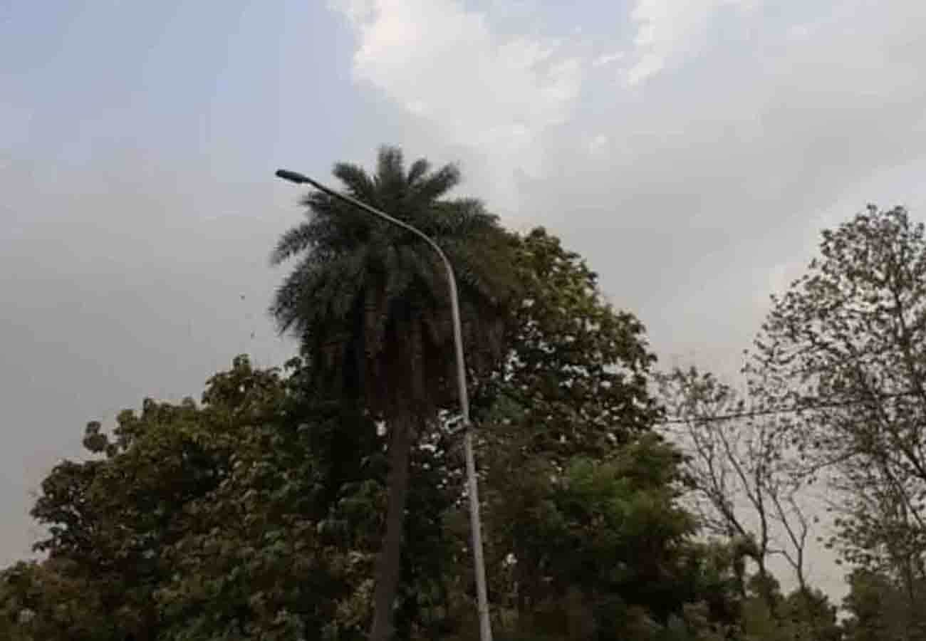 latest weather news, rain in these cities of up