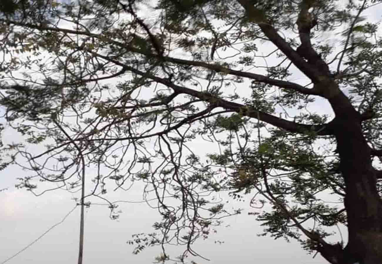 latest weather news, rain in these cities of up