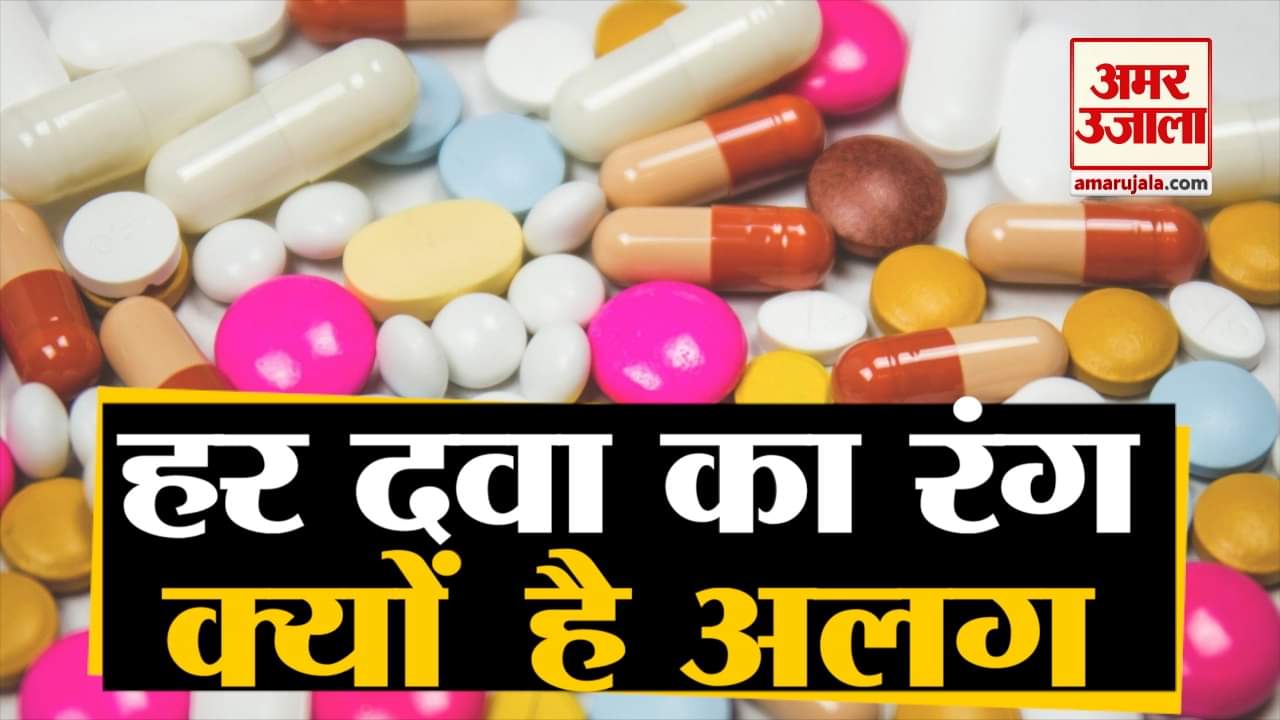 प्रतिकात्मक तस्वीर