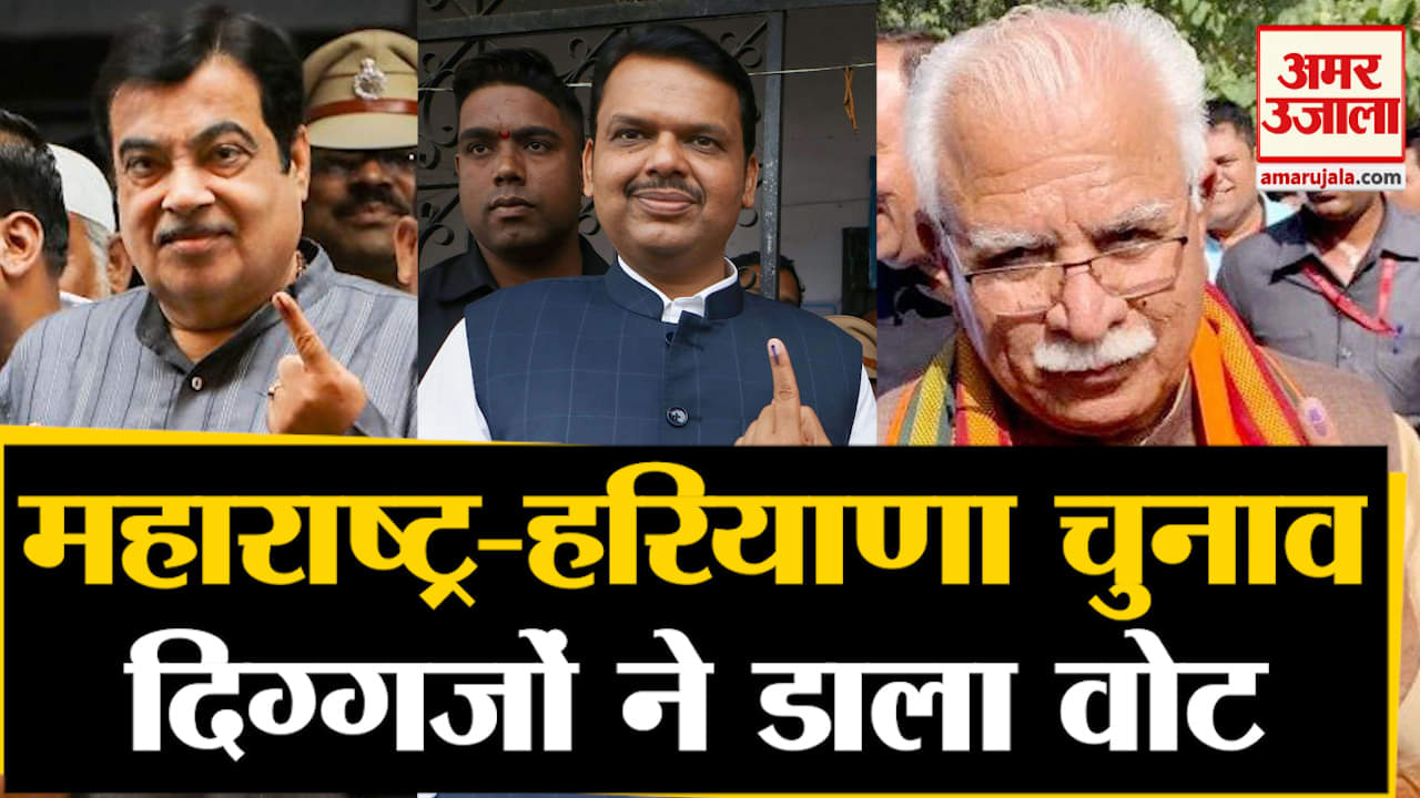 वीआईपी वोट