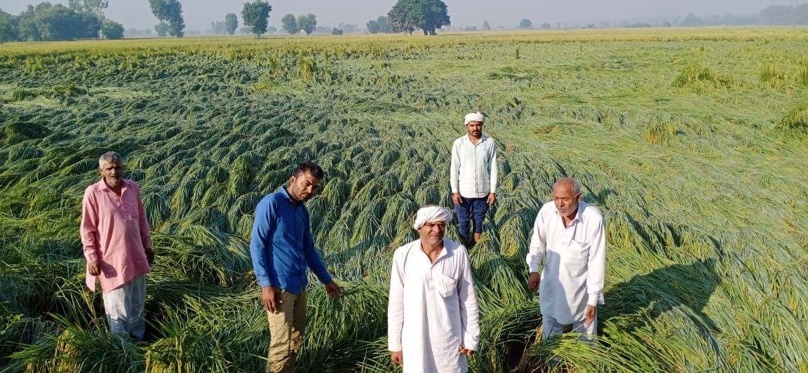 six and a half thousand acres of 3 village have been  damaged due to rain, farmers reacheddc office