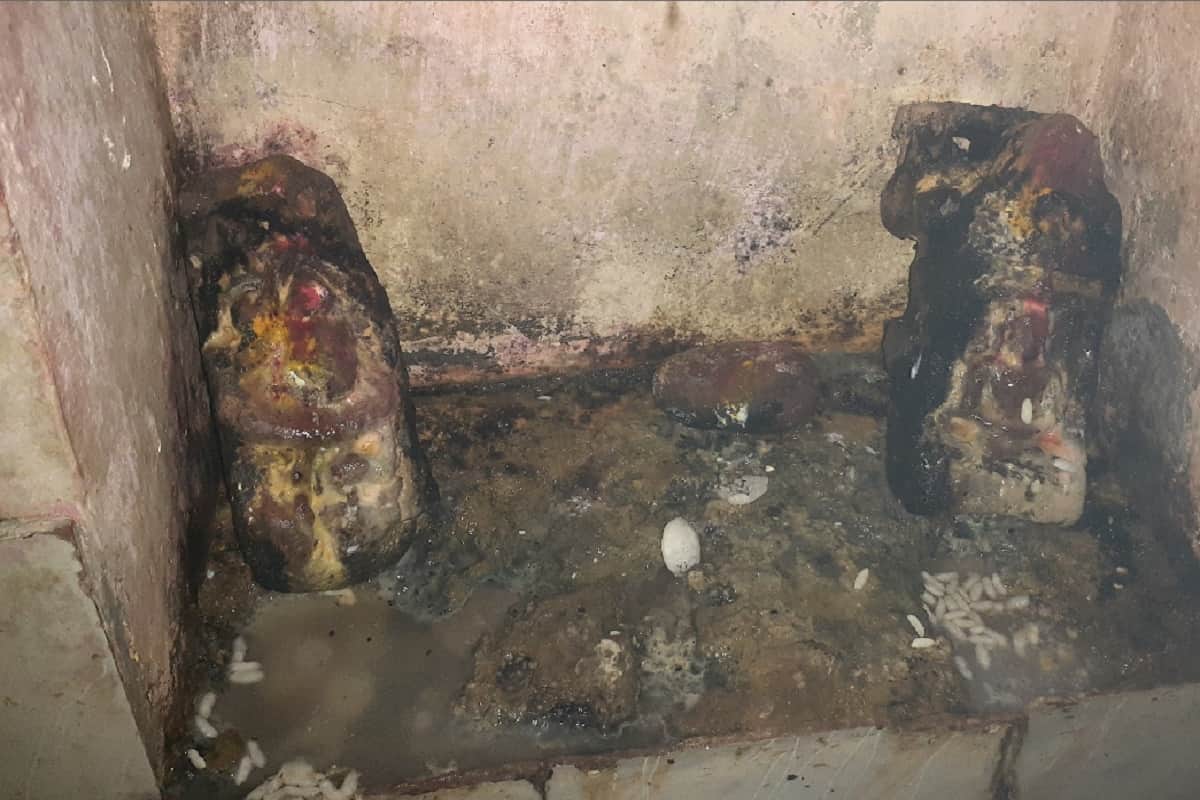 Historians are working to unravel mystery of history after fragmented statue recovered at Baghpat