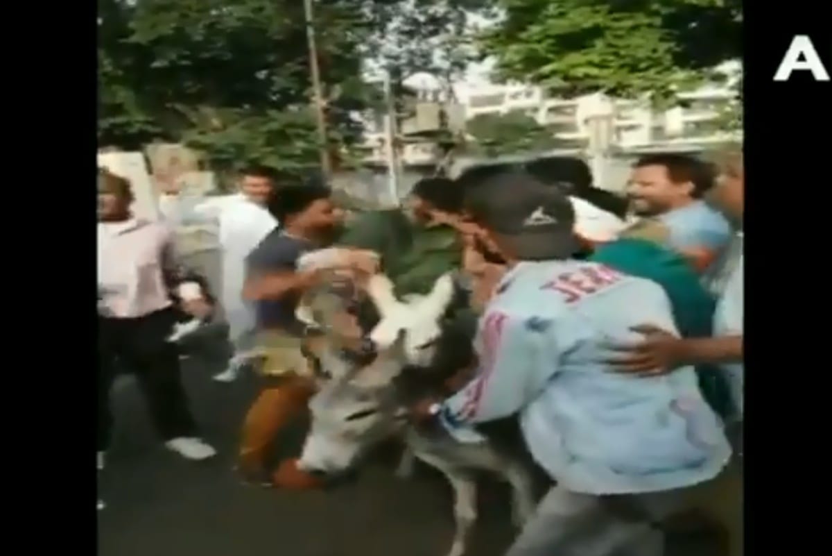BSP workers blackened faces of party leaders, paraded them on donkeys and garlanded them with shoes