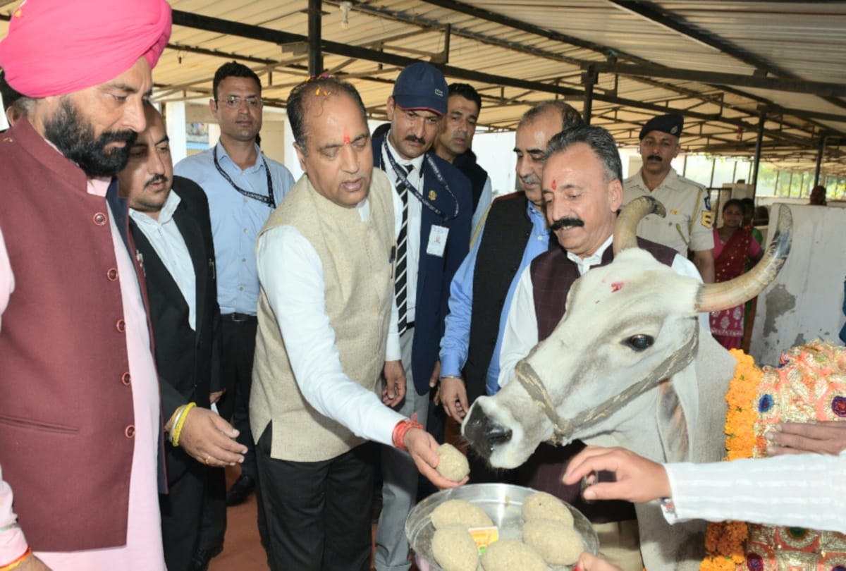 Government raised 8.50 crores from alcohol for cow service: Jairam