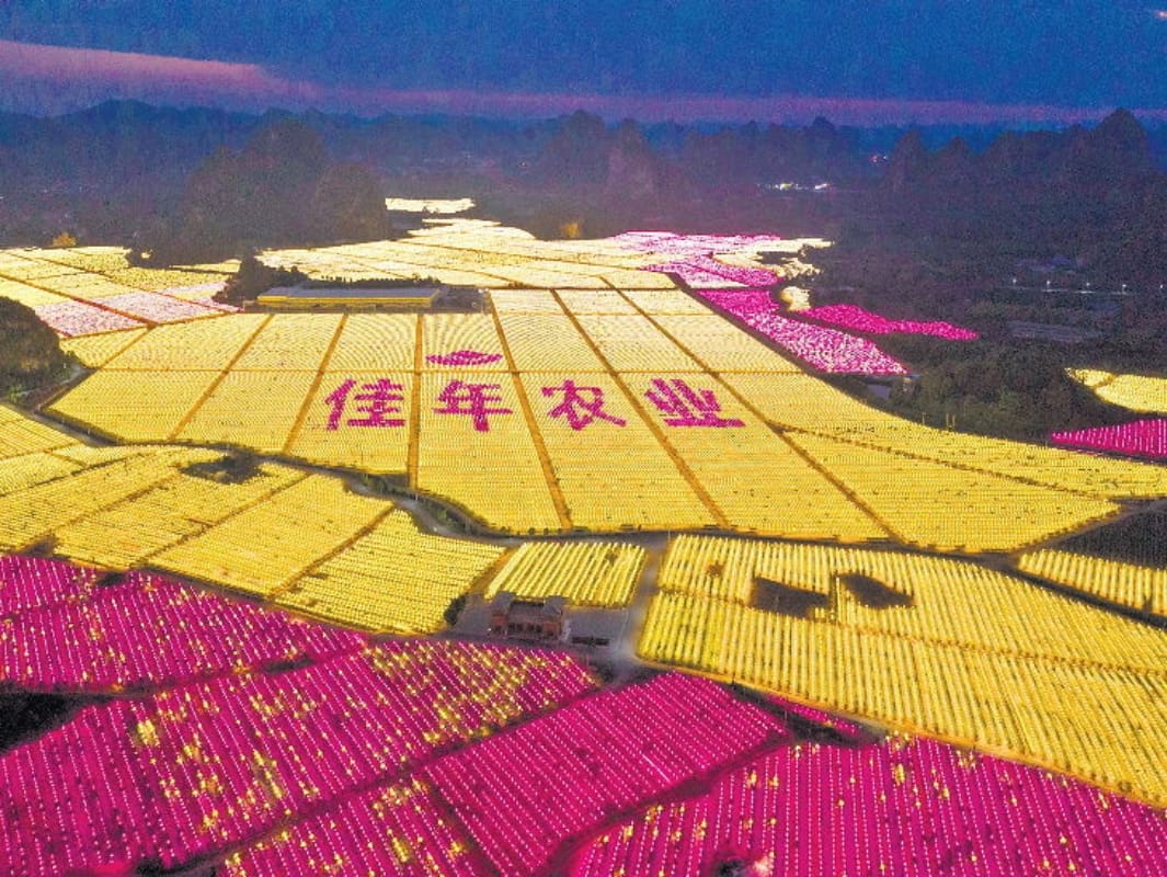 Chinese farmers are supplying lights for crops through bulbs
