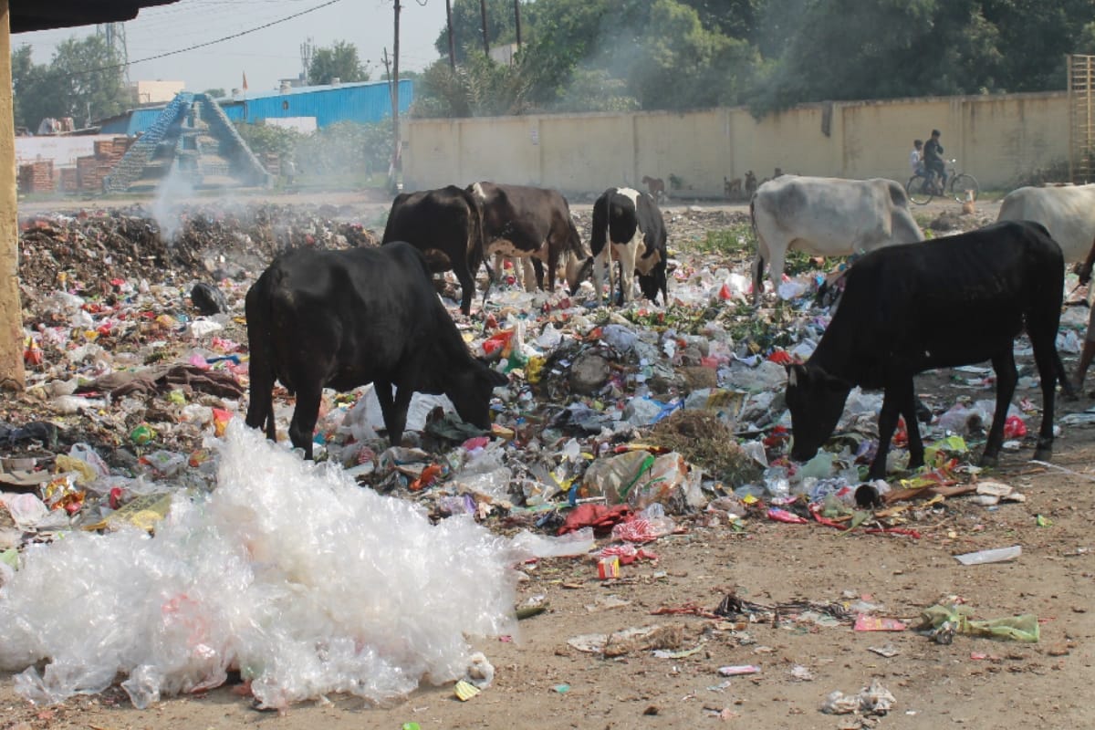 pollution, garbage piles openly burning despite NGT ban in Meerut