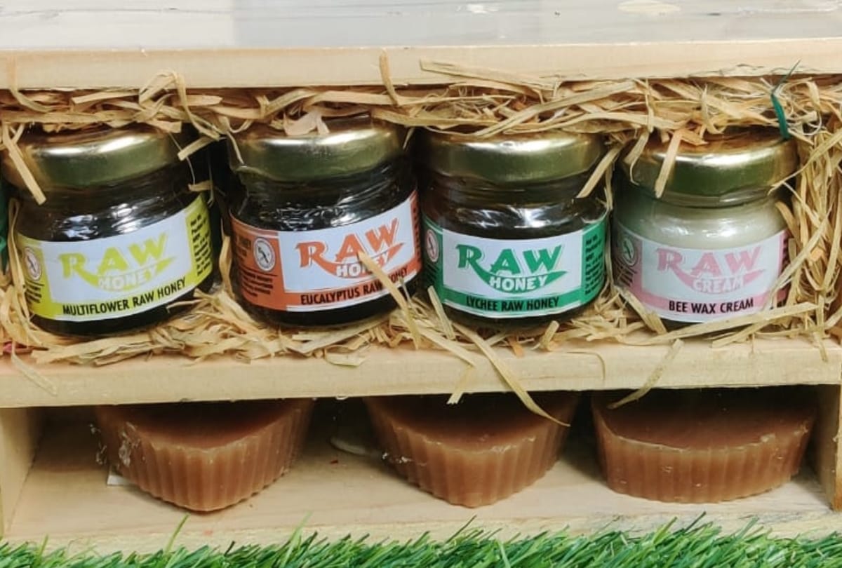 eco friendly gifts for diwali in lucknow