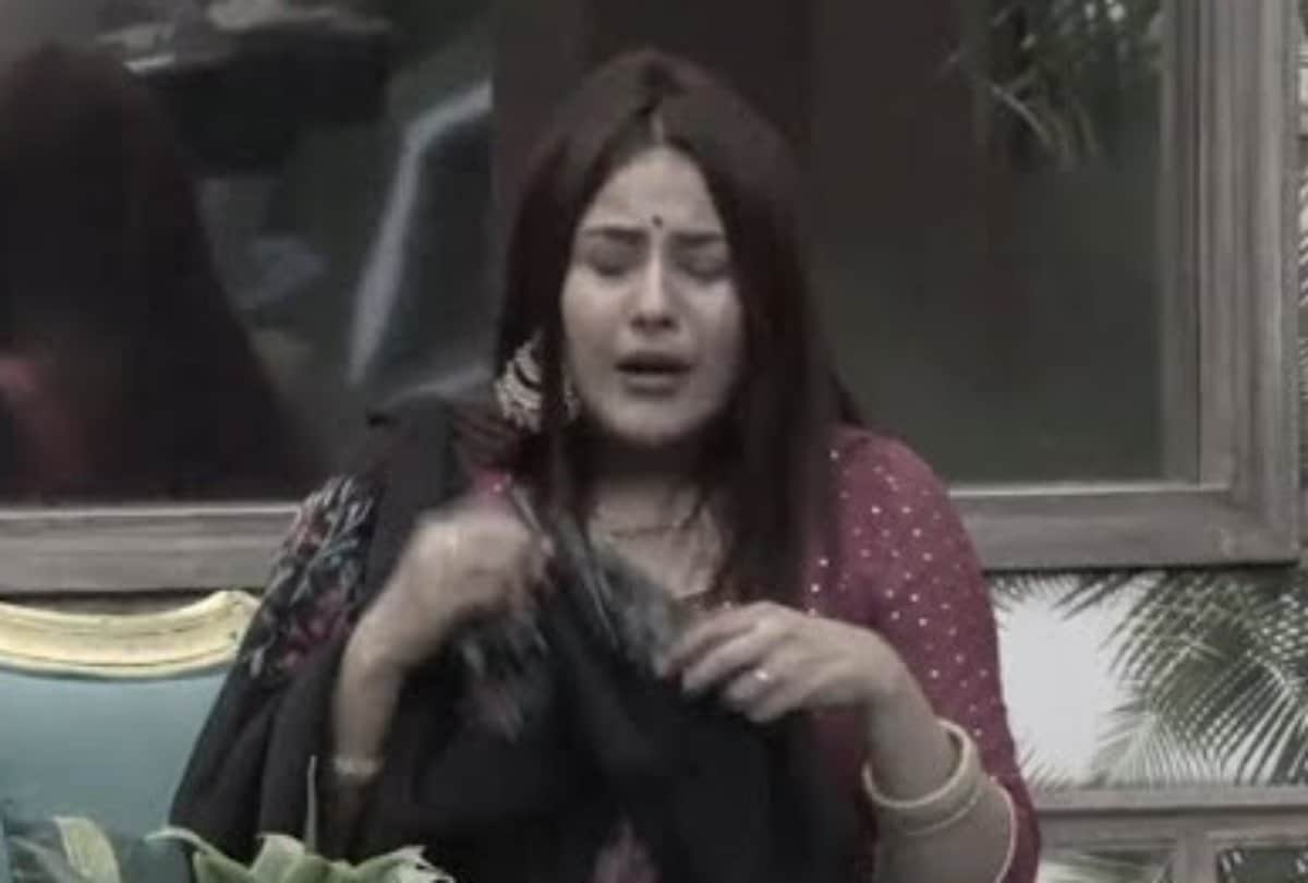 Bigg Boss 13 Contestant Shehnaz gill Song Veham Viral on Youtube