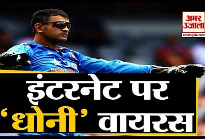 watch business and tech news in a click including Google search Mahendra Singh Dhoni