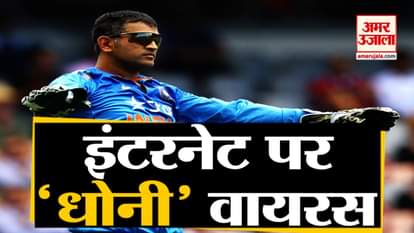 watch business and tech news in a click including Google search Mahendra Singh Dhoni