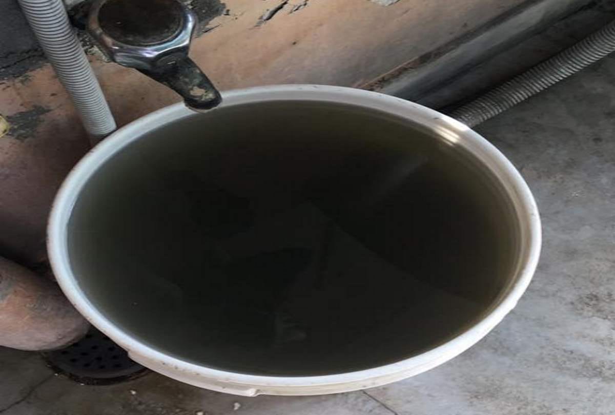 Bird wings and bones found in Water pipe line in haridwar
