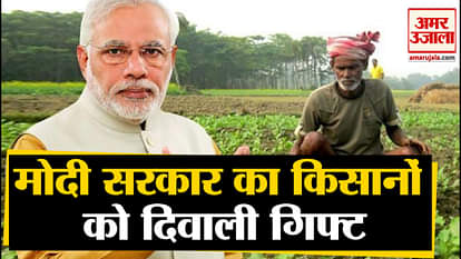 Modi government can give Diwali gift to farmers, may be big announcement on MSP