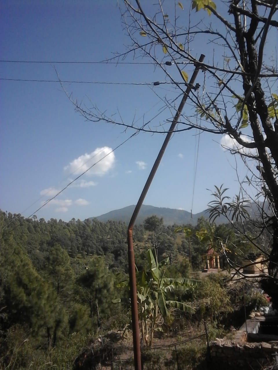 Electricity is being supplied by tying wire to tree