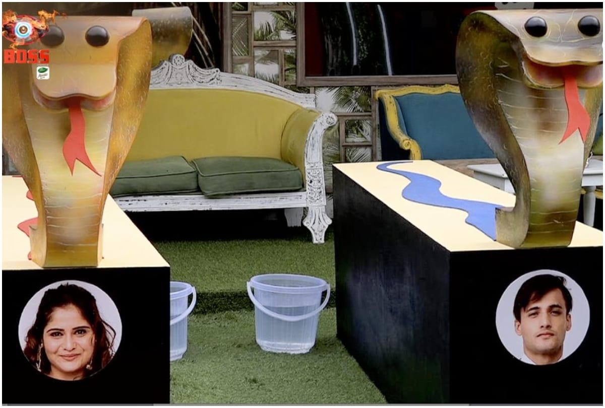 Bigg Boss 13 Snakes and Ladders task Devoleena Bhattacharjee slap Shehnaz Kaur Gill