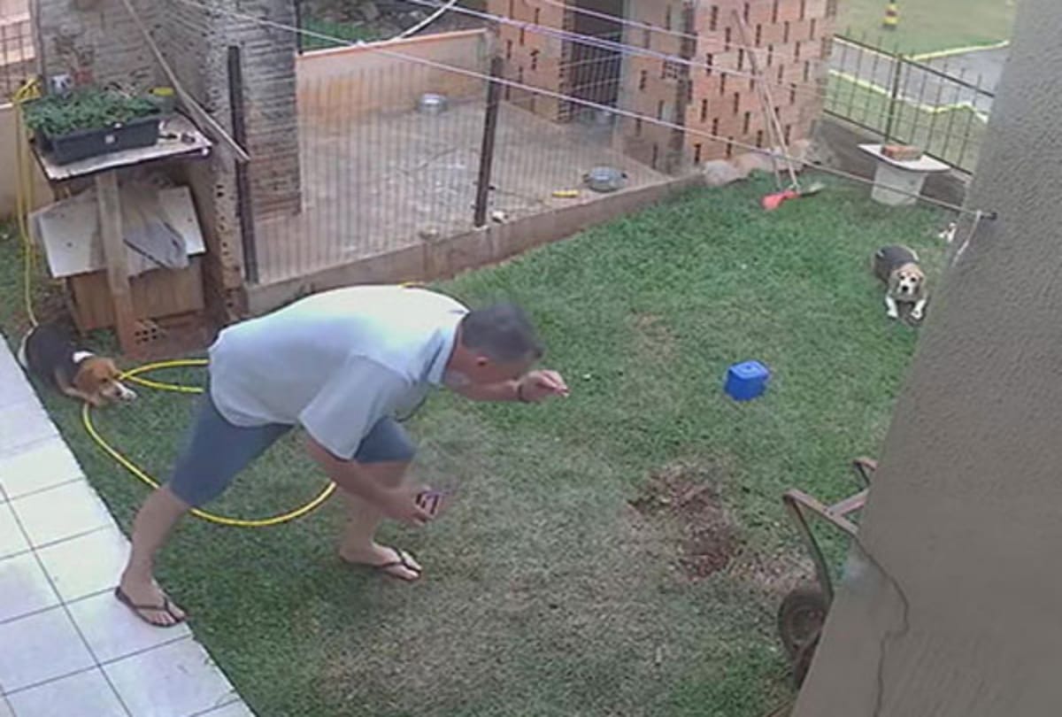 brazilian man blows up garden while trying to get rid of cockroaches