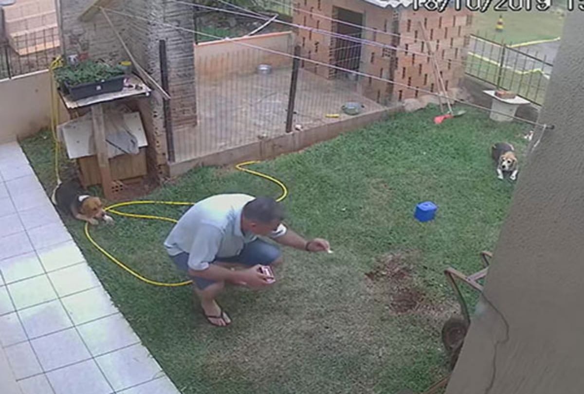 brazilian man blows up garden while trying to get rid of cockroaches