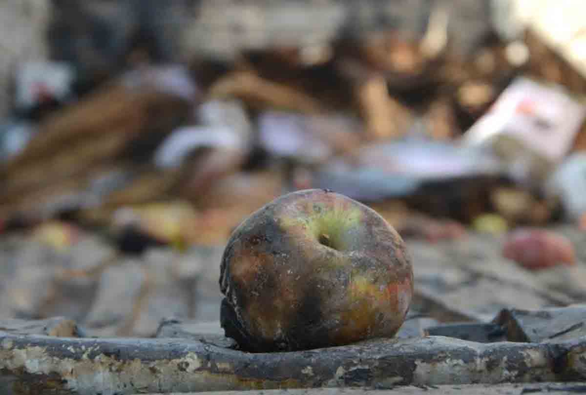 Truck full of apples in Kashmir has been standing for five days, people in fear terror attack