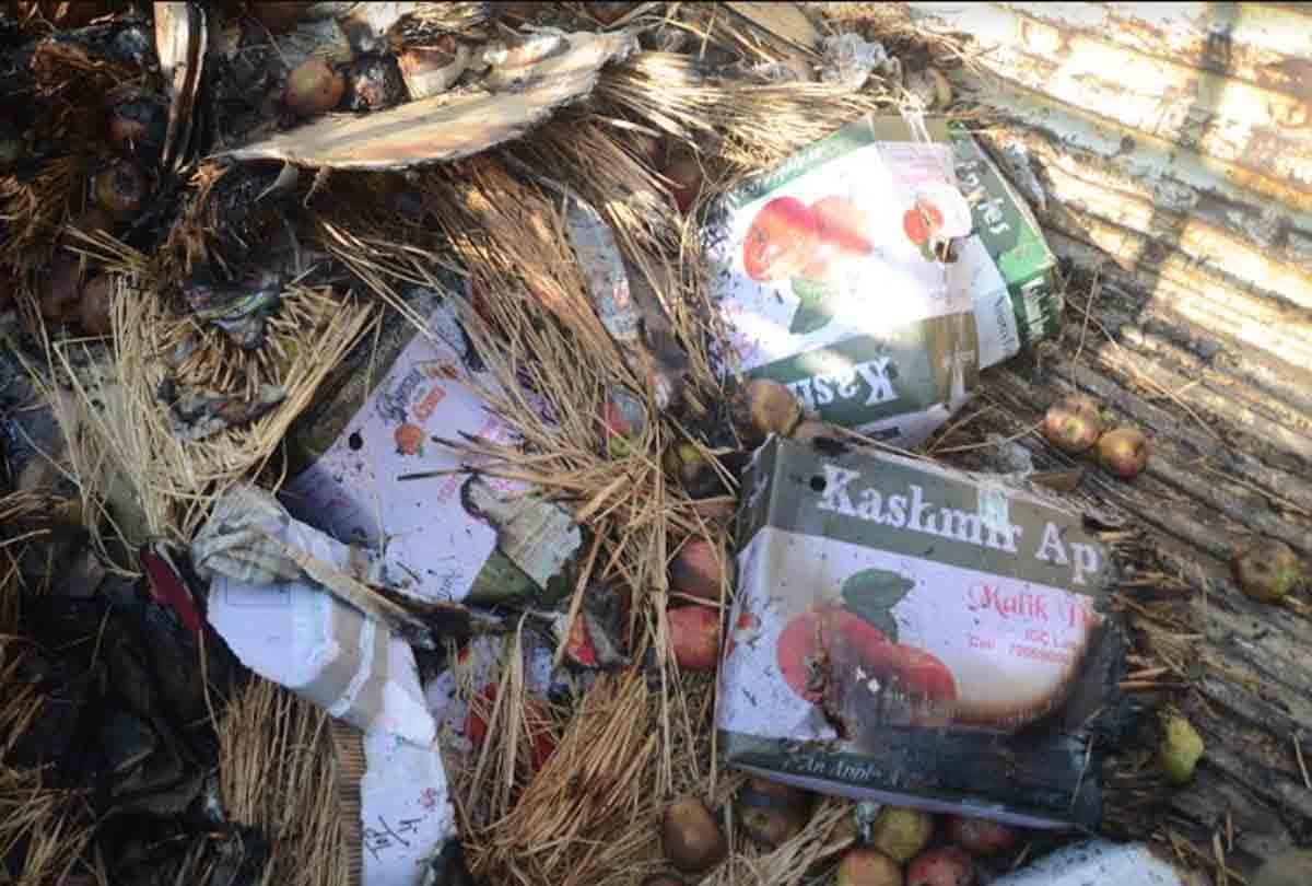 Truck full of apples in Kashmir has been standing for five days, people in fear terror attack