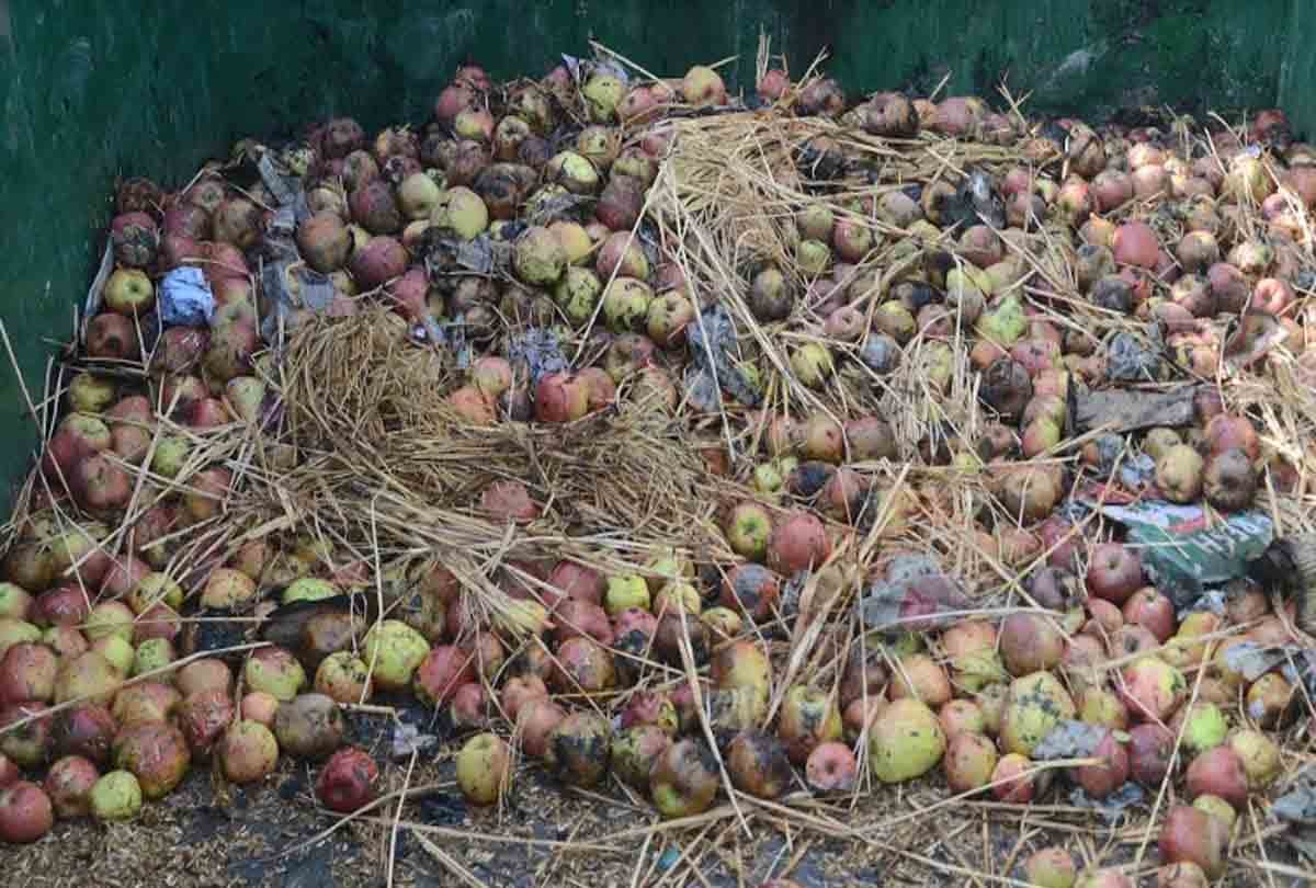 Truck full of apples in Kashmir has been standing for five days, people in fear terror attack