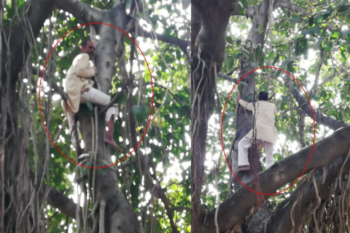 Meerut: Farmer climbed on Banyan tree to demand sugercane outstanding payment