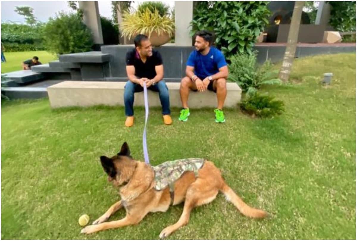 Rishabh Pant enjoys good vibes with MS Dhoni and his dog photos