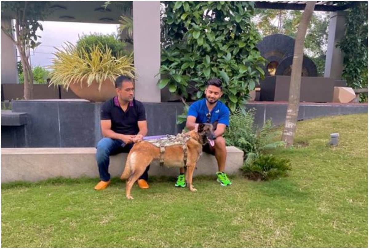 Rishabh Pant enjoys good vibes with MS Dhoni and his dog photos