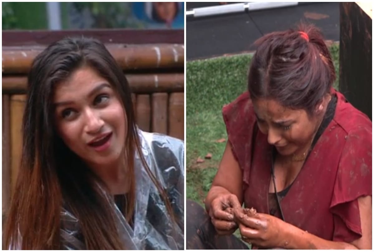 Bigg Boss 13 Shefali Bagga commented on Shehnaz Kaur Gill character