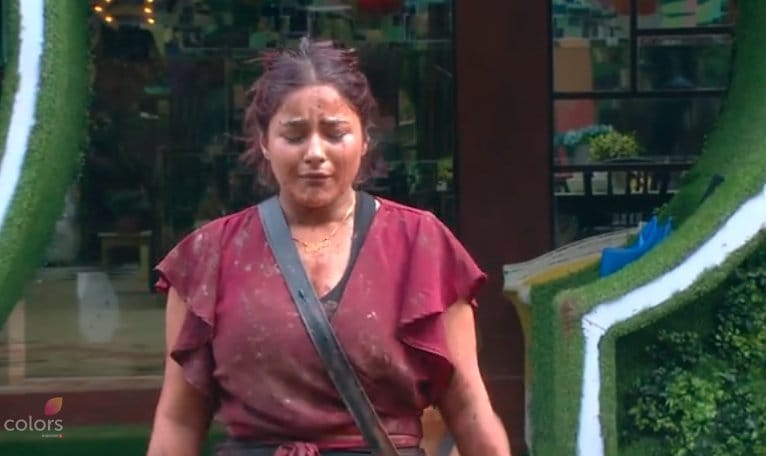 Bigg Boss 13 Shefali Bagga commented on Shehnaz Kaur Gill character