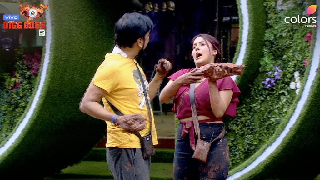 Bigg Boss 13 Shefali Bagga commented on Shehnaz Kaur Gill character