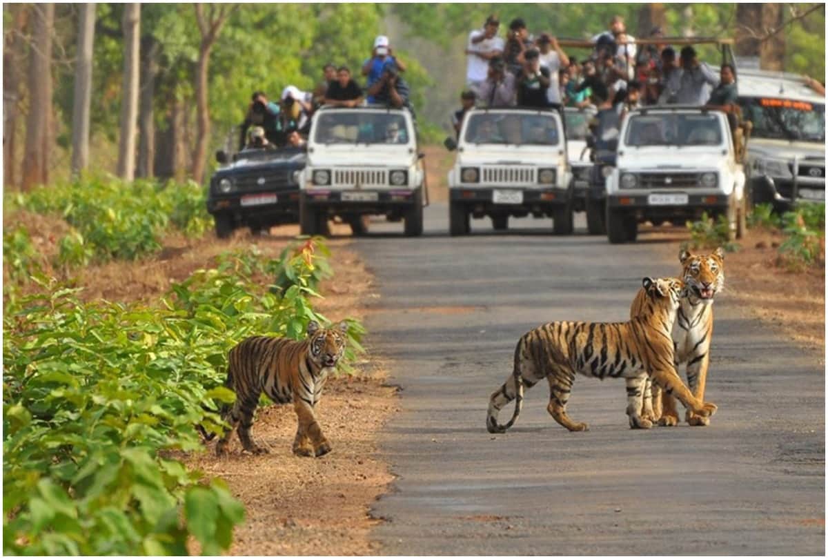 best places to visit in madhya pradesh in hindi