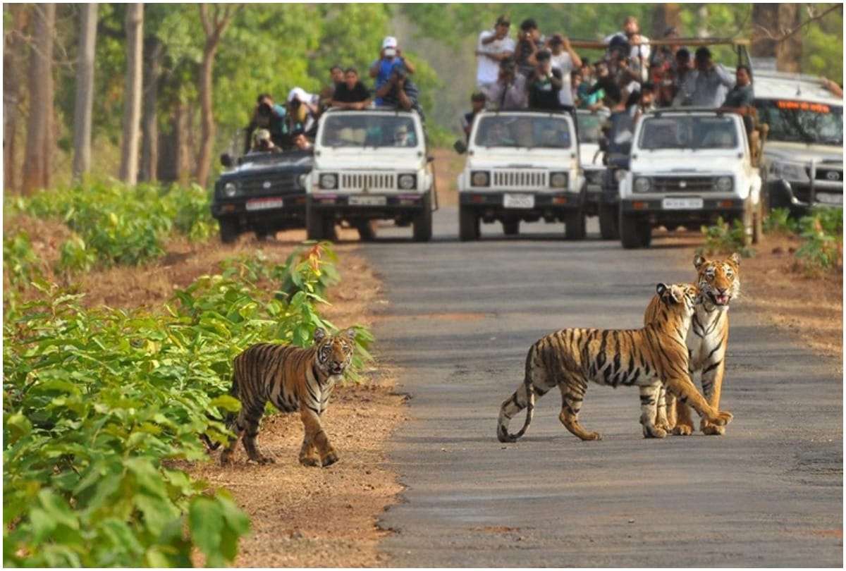 best places to visit in madhya pradesh in hindi
