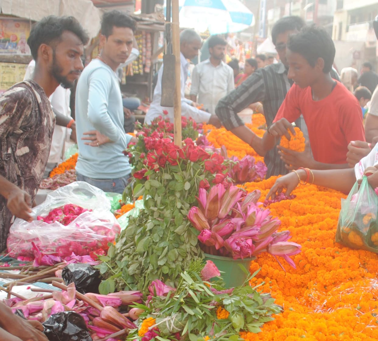 Ashta Kamal from Prayagraj, marigold flowers from Kashi
