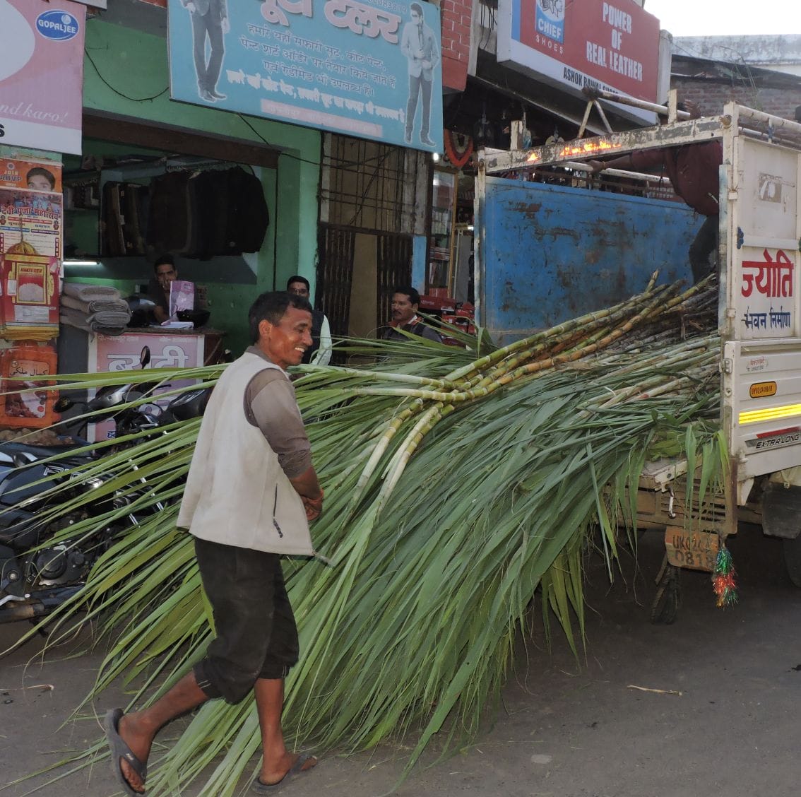 Sugarcane sold in the market