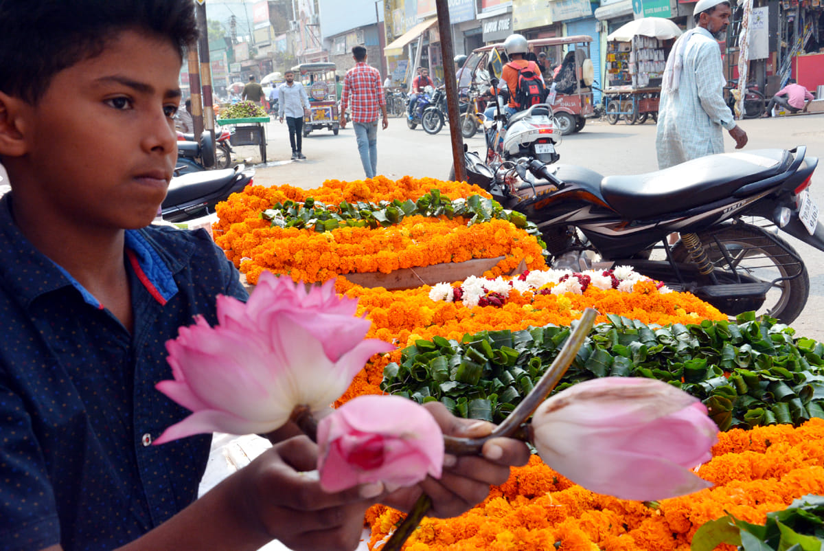 Lotus flowers will worship Maa Lakshmi