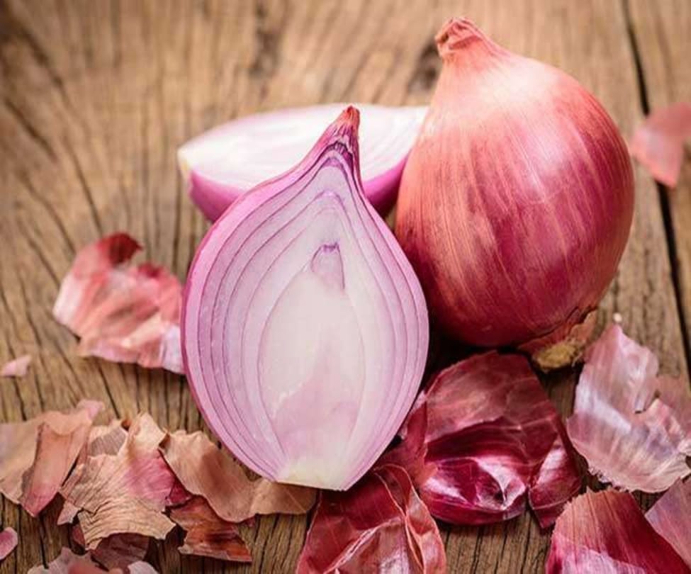 onion health benefits in skin and allergy disease home remedies