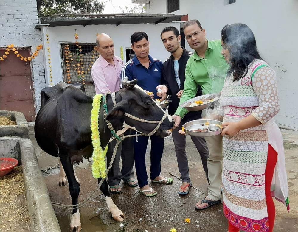 Worshiping the cow at Bagwal