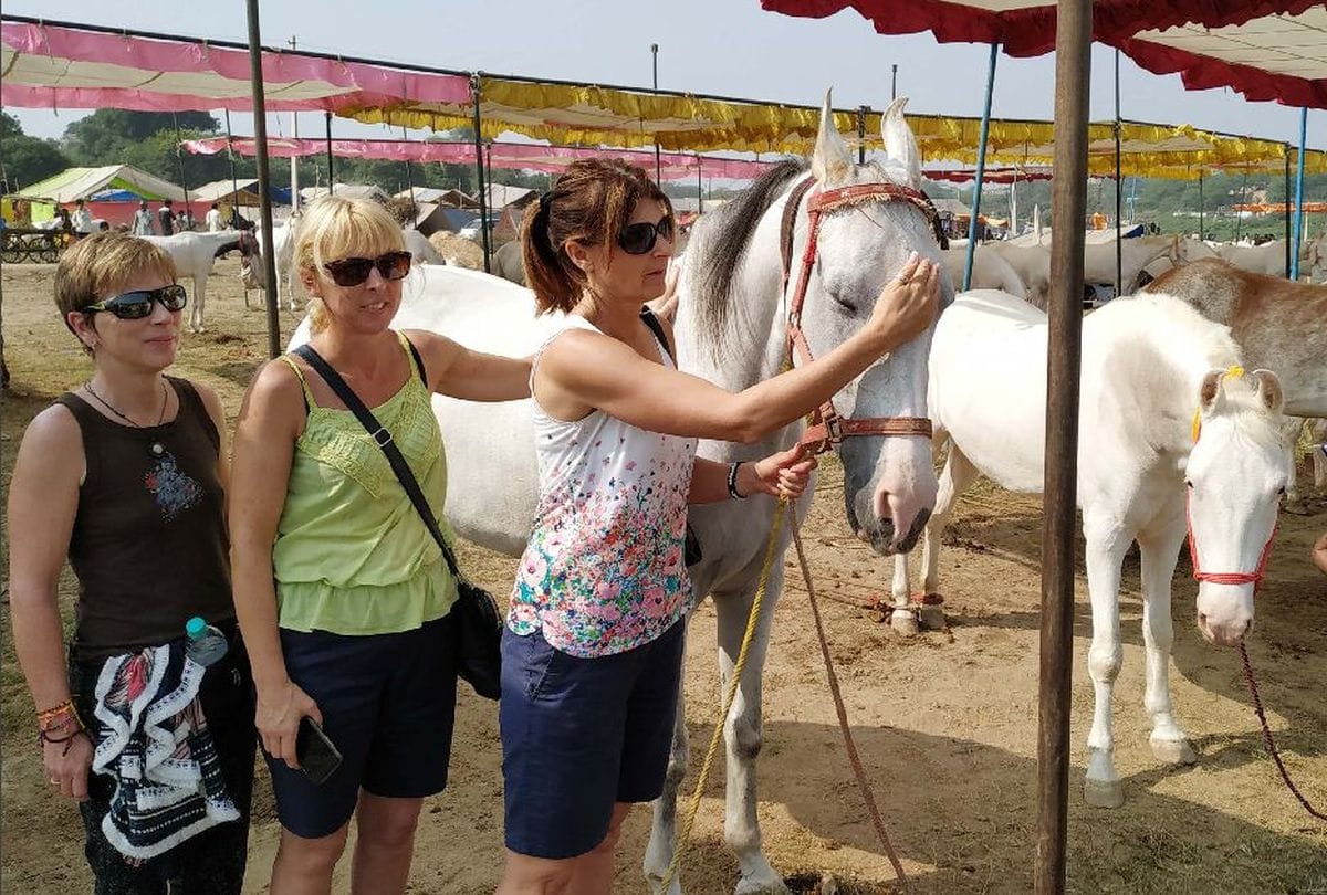 foreign tourists likes Bateshwar Pashu Mela in agra