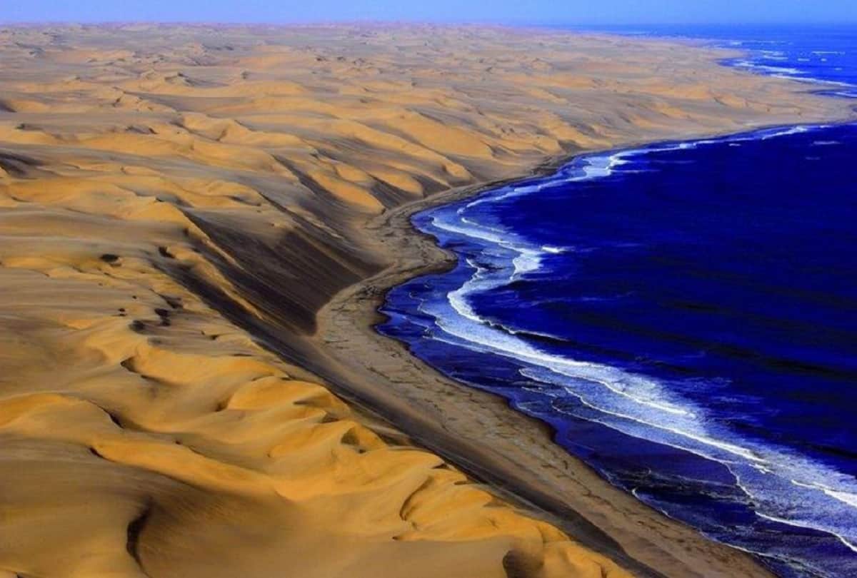 Interesting facts in the world who will shocked you