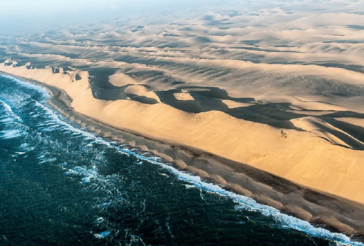 Interesting facts in the world who will shocked you