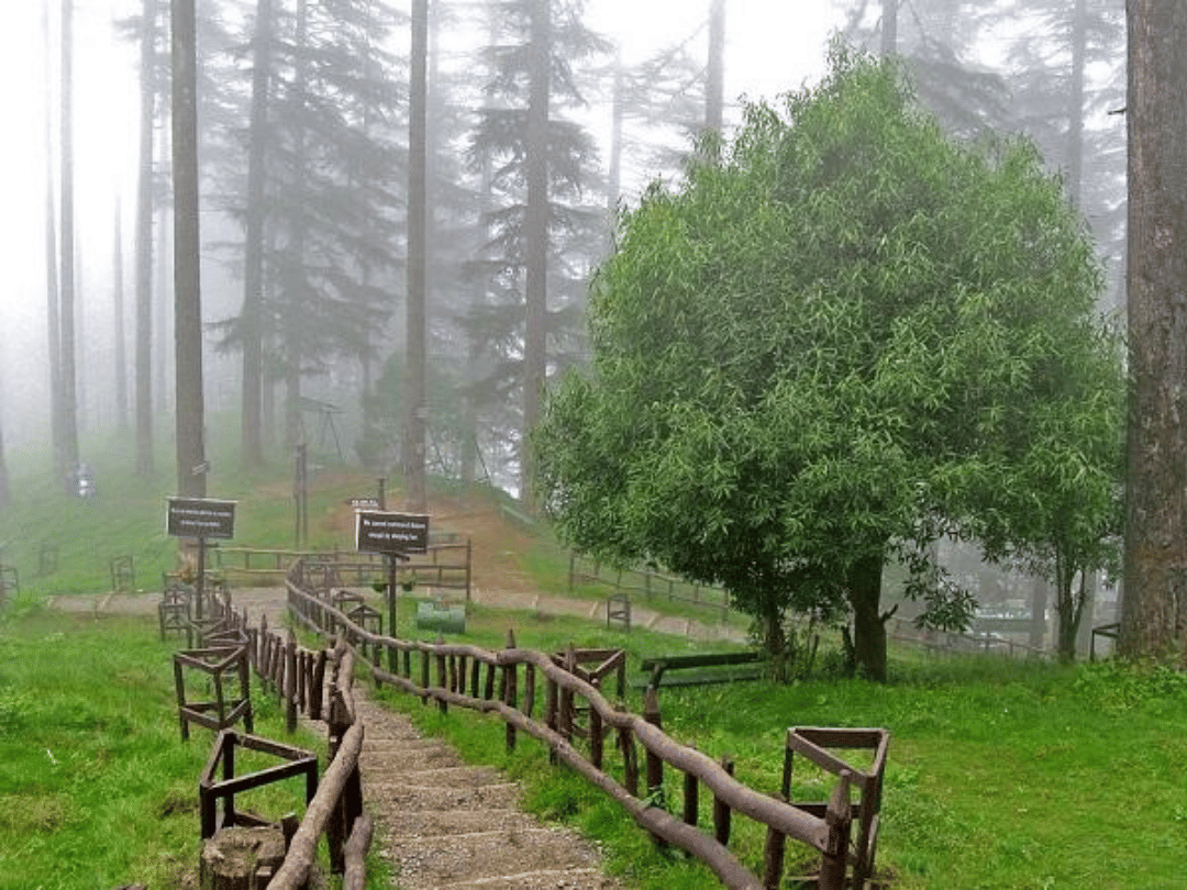 these are the best place in dhanualti to visit in november