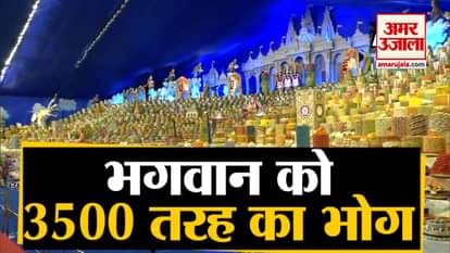 3500 different types of food items were offered to the deities at Swaminarayan temple in Vadodara