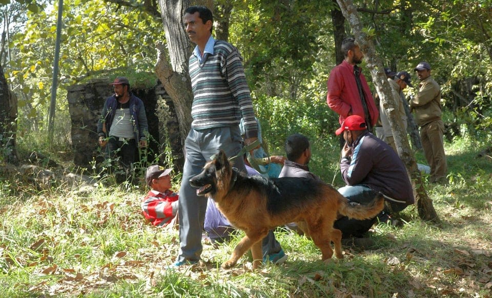 Sensational Triple murder in pithoragarh three youths private body Parts cut photos