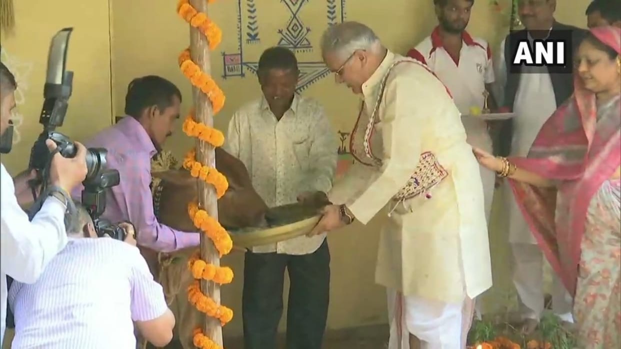 chief minister bhupesh baghel involved in goverdhan pooja and completed other rituals
